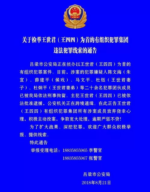 怎么查别人开酒店记录呢,查别人开酒店记录，违法犯罪行为的警示与合法途径探讨