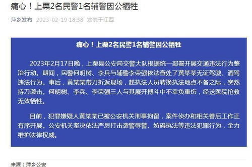 警察用名字查酒店记录吗,警察用名字查酒店记录，程序正义与隐私权的平衡