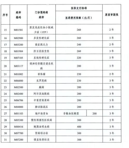 医保申报流程详解，从入门到精通