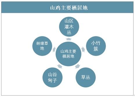 应急水文监测研究，应用、挑战与前景