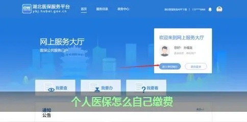 个人医保缴纳全攻略，步骤、注意事项及查询方法