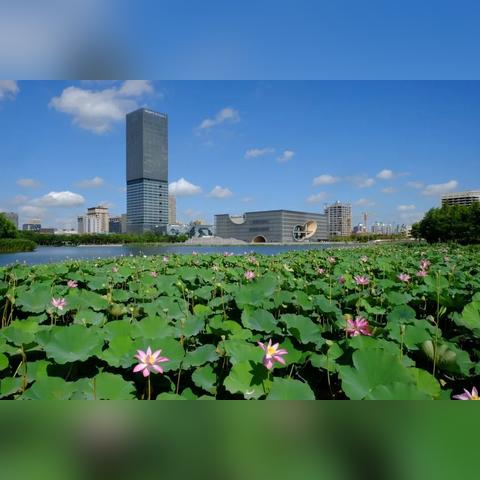 东至县搜索引擎优化关键词，探索地方特色，提升区域品牌影响力