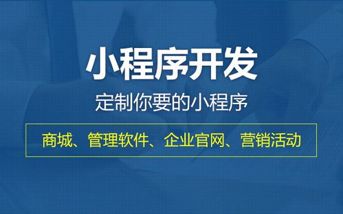 百度小程序开发版，探索与实战