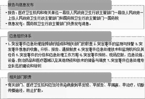 佛山医保购买指南，全面解析购买流程与注意事项