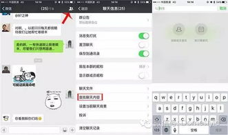微信查聊天记录，探索私密数据管理的艺术