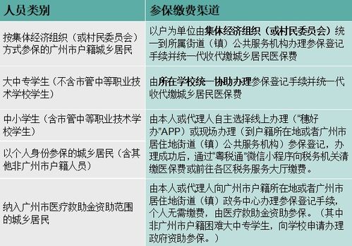 医保类型填写指南，如何选择并正确填写医保类型