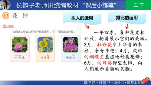 渭塘羊小咩套现,渭塘羊小咩套现案例分析与启示