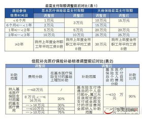 东莞医保使用指南，全面解析医保政策与操作流程