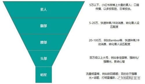 马鞍山抖音关键词排名优化策略