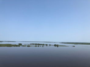 探访水文监测中心，揭秘水域生态的守护者