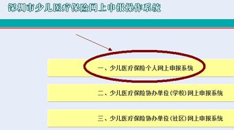 小孩医保的使用指南，理解、申请与最大化利用