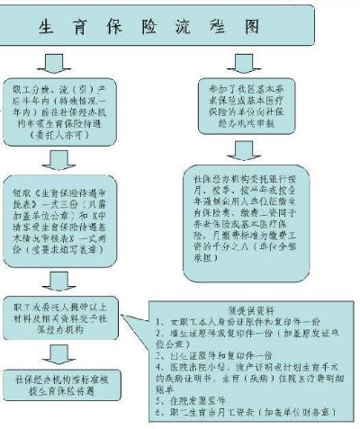 生育医保的报销流程详解