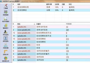 探索内黄县关键词排名优化工具的奥秘