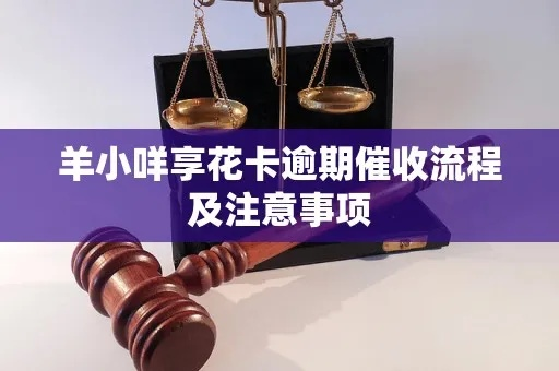 羊小咩享乐花怎么套现,羊小咩享乐花的套现攻略与分析