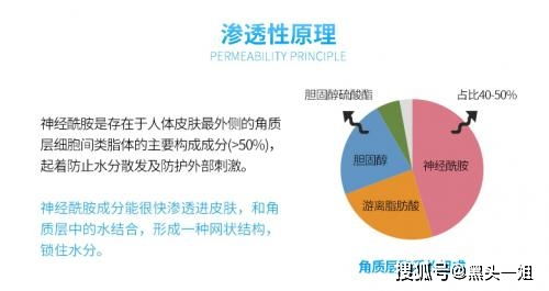 靠水致富的多元路径，水资源利用与经济发展协同推进