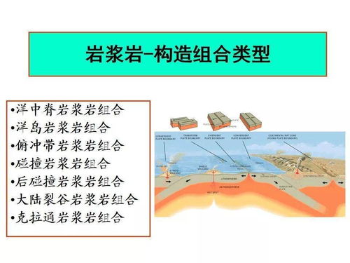 青川致富之路，探索多元化的门路与策略