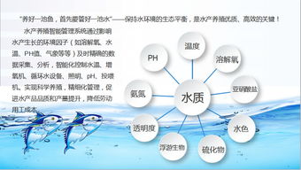 地质水文监测系统，构建智能化、高效化的水资源管理新篇章