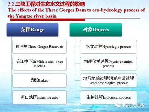 水文监测酒店式，创新管理模式下的水资源监控与服务质量提升