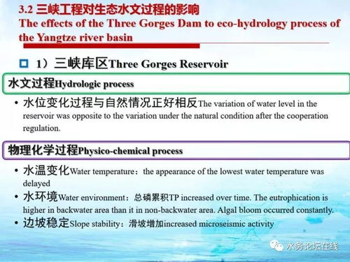 水文监测酒店式，创新管理模式下的水资源监控与服务质量提升