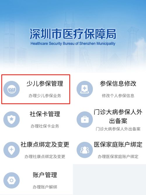 深圳少儿医保查询指南，轻松掌握孩子医保状态
