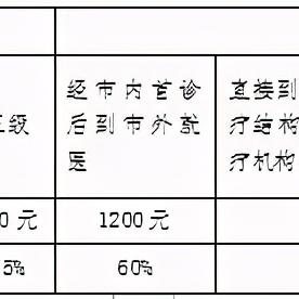 医保乙类药的报销流程及注意事项