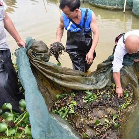 村民养殖致富之路，探寻高效养殖与市场需求结合的策略