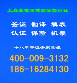 新西兰华人致富之路，多元发展与成功秘诀