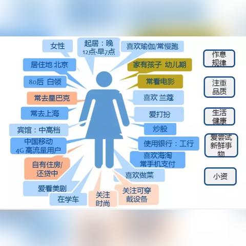 微信聊天记录查询，技术与隐私的平衡艺术