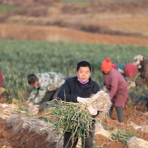 微信订单小程序怎么修复