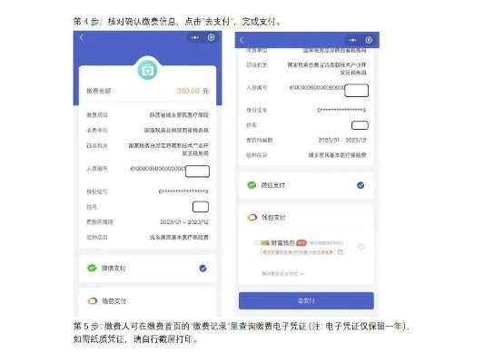 网上医保缴费流程详解，轻松掌握在线支付步骤