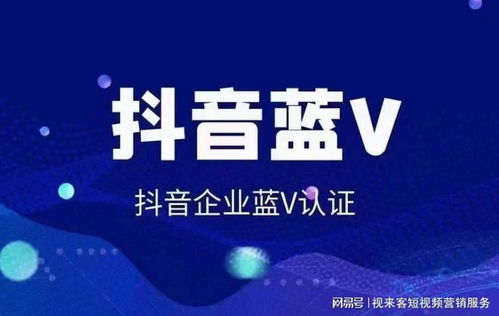 抖音关键词优化，快速提高搜索排名的实用策略