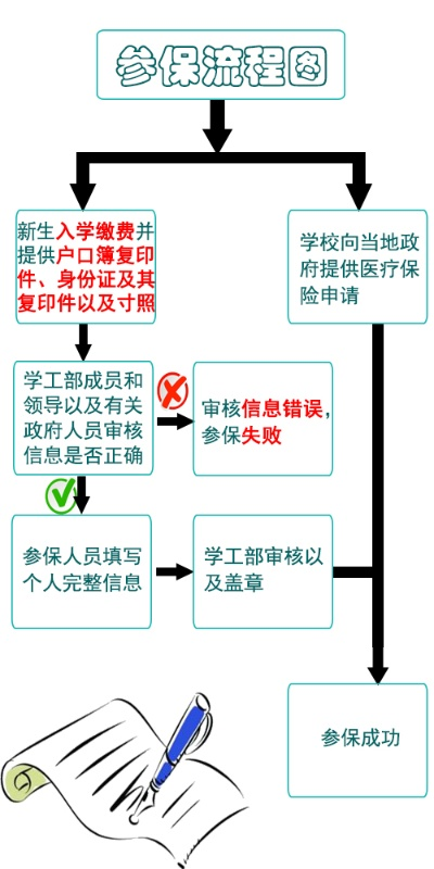 医保续保办理流程详解