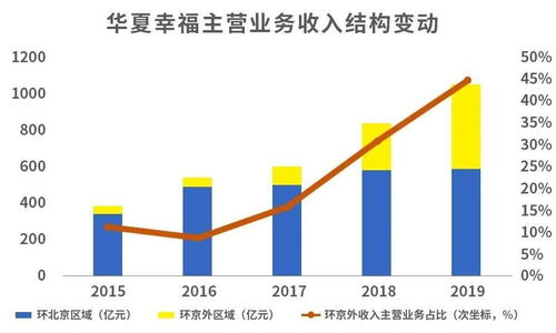 致富新捷径，创新与多元化策略下的财富增长路径