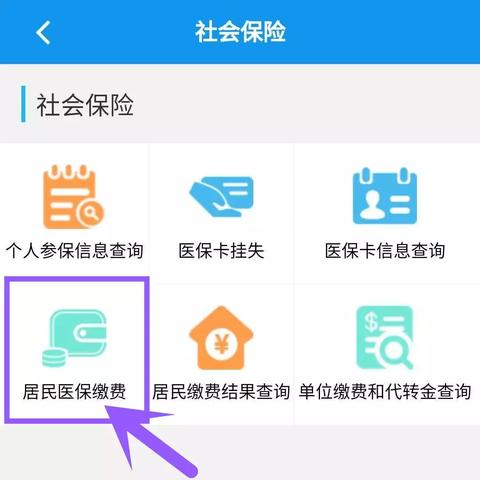 农村医保网上缴费指南