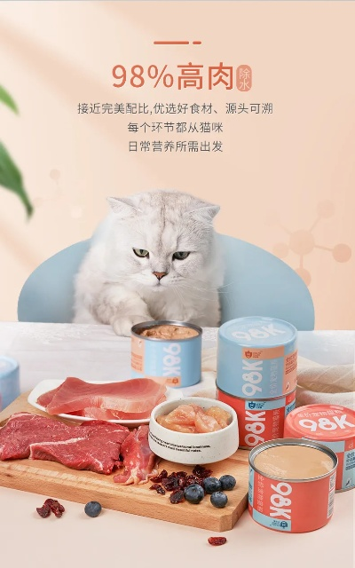 猫咪零食收纳盒关键词优化策略