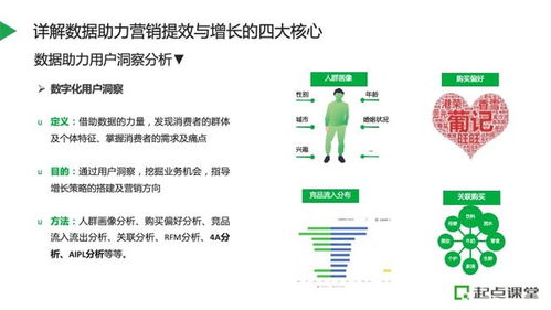 安平百度小程序排名，探索成功之路与策略洞察