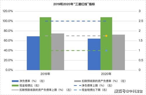 羊小咩套现很高,羊小咩套现高企，背后的故事与分析