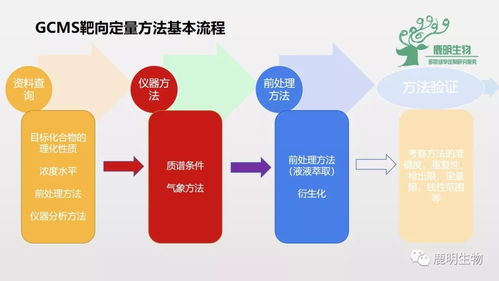 大学医保交纳指南，流程、方式及注意事项