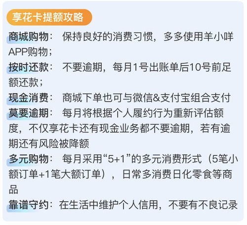 深圳羊小咩消费套现,深圳羊小咩消费套现，创新与风险的博弈