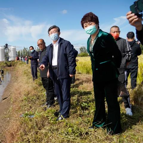 带动农村致富，策略与实践的探讨