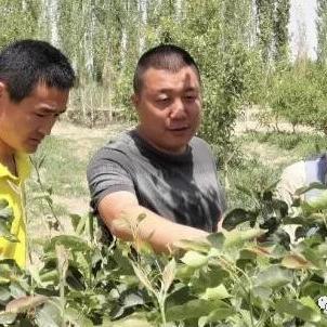 带动农村致富，策略与实践的探讨