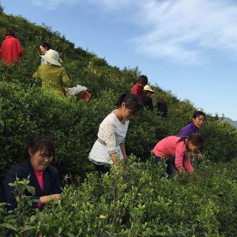 致富小康，短语背后的梦想与实现