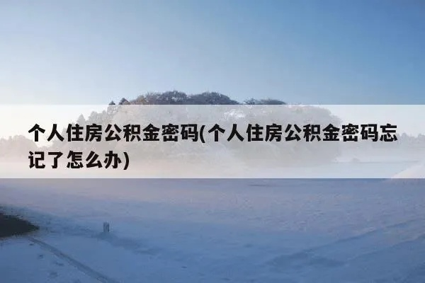 住房公积金网上查询密码忘记应对策略