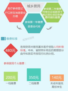 关于城镇医保办理流程的全面解析——以2017年为例