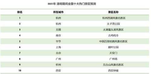 杭州酒店打卡记录查询指南