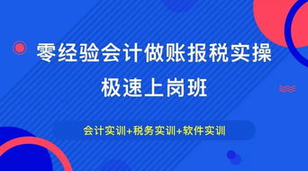 从零到富，创业与就业的智慧选择