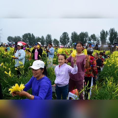 企业致富宝，打造财富引擎，引领企业腾飞