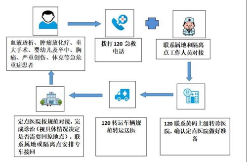 集中隔离酒店的记录查询流程与方法