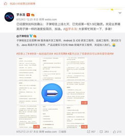 查酒店记录软件,揭秘酒店入住记录，隐私保护与信息安全的挑战