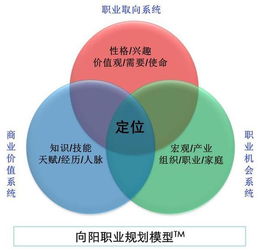 优化关键词在SEO和网络营销中的重要作用